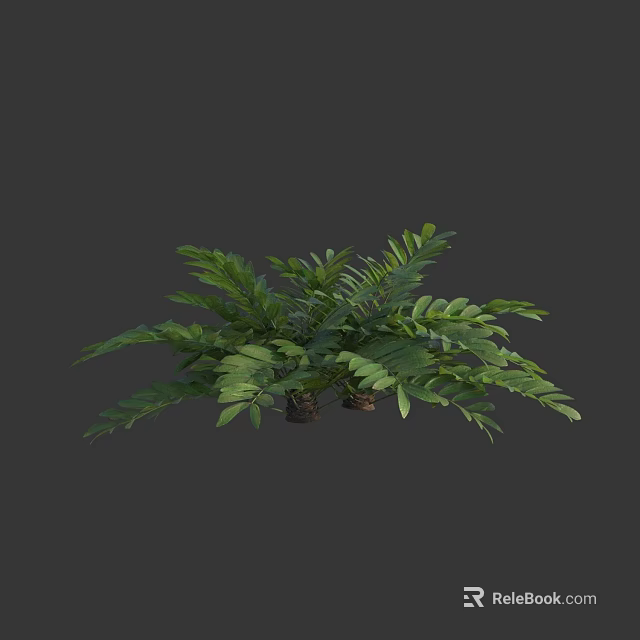 Lush Green Fern Plant With Vibrant Leaves In Pot For Indoor Decoration 3d model 
