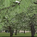 Multi Storey Industrial Factory Building With Modern Glass Windows Green Lawn And Surrounding Trees
