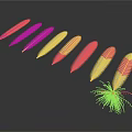 Aquatic Animals With Slender Blue Pink Stripes Arranged In Row And Radial Structure Dark Background