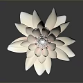 Elegant Light Pink Lotus Flower With Delicate Creamy Petals And Dark Background Reflection