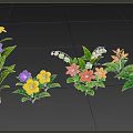 Colorful Flowering Plants With Green Leaves In Various Colors On Pink Background