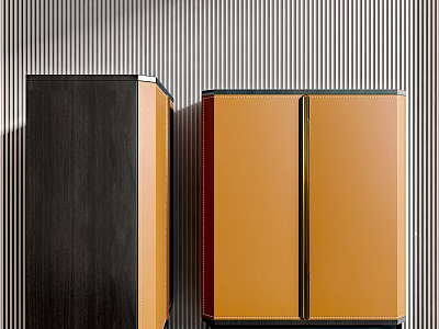 Modern Entryway Cabinet and Side Cabinet with Black and Orange Doors Against Striped Wall 3d model