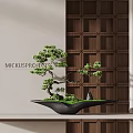Bonsai Pine Tree in Black Pot with Moss Against Wooden Lattice Wall Interior Decor