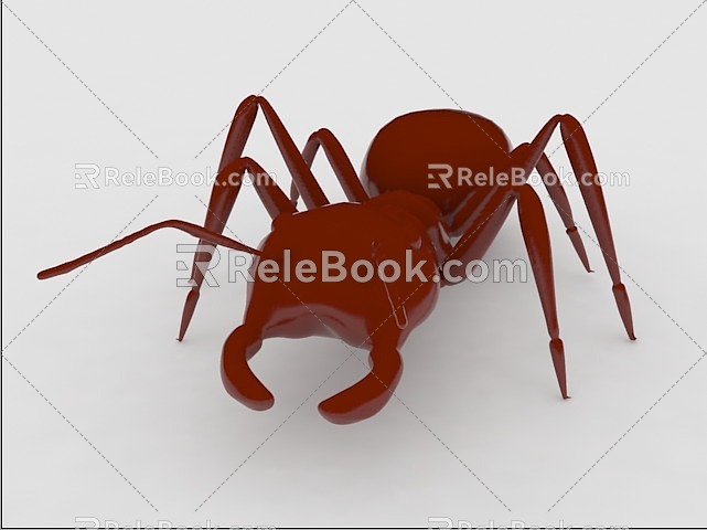 ant 3d model