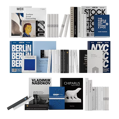 Stylish Books And Magazines Collection With Art Design City Themes And Colorful Covers 3d model