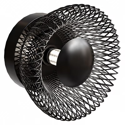 Black Mesh Structure Wall Light with Central Bulb for Modern Home Decor 3d model