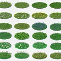 Various Circular Flowers and Grass Patches With Different Green Yellow Blue White Blooms
