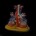 Human Heart Anatomical Model With Red Blue Blood Vessels On Yellow Base