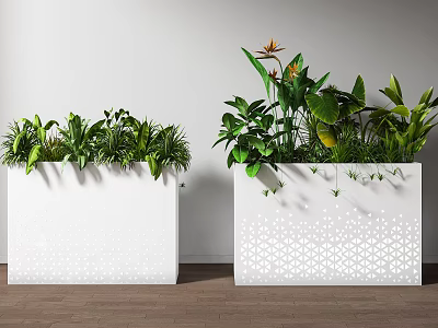 White Planters With Various Green Plants And Decorative Patterns Indoor 3d model