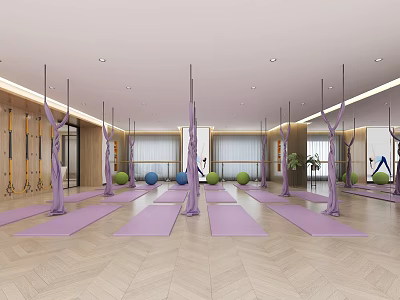 Modern Yoga Fitness Studio With Aerial Hammocks Yoga Mats And Exercise Balls 3d model