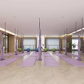 Modern Yoga Fitness Studio With Aerial Hammocks Yoga Mats And Exercise Balls