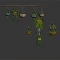 Decorative Hanging Planters With Trailing Vines And Various Styles Suspended On Wooden Rod