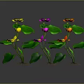 Vibrant Aquatic Plants With Colorful Flowers Green Leaves And Roots