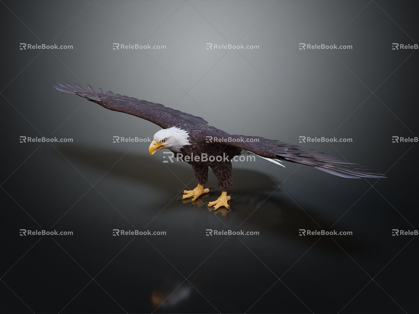 Modern Eagle Golden Eagle 3d model