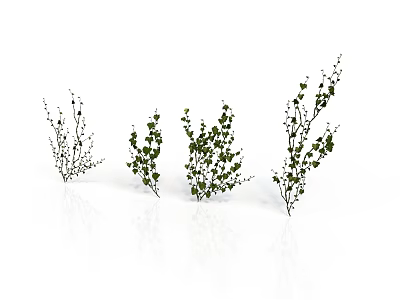 Decorative Green Leafy Plant Branches With Various Shapes For Scenic Design 3d model