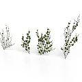 Decorative Green Leafy Plant Branches With Various Shapes For Scenic Design