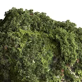 Lush Greenery Covered Garden Ornament With Diverse Plants And Fresh Foliage