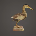 Detailed View of Brown and White Wading Bird Standing on Stone Base