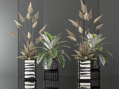 Bonsai Potted Plants With Gold Green Leaves In Black White Striped Pots On Black Bases 3d model