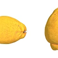 Fresh Ripe Yellow Fruits With Smooth Skin And Natural Shape