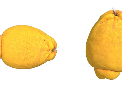 Fresh Ripe Yellow Fruits With Smooth Skin And Natural Shape 3d model