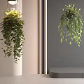 Hanging Basket Plants In Modern Interior With Lush Trailing Leaves And Neutral Backdrop
