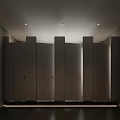 Modern Minimalist Public Bathroom With Dark Full Height Partition Stalls And Recessed Ceiling Lights