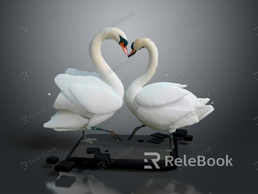 Modern Swan Birds Birds model