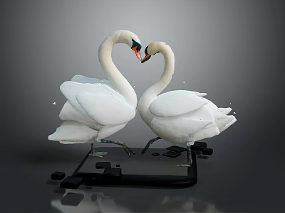 Two White Swans Face to Face Forming Heart Shape on Black Platform with Grey Background 3d model