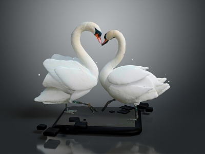 Modern Swan Birds 3d model