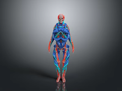 Human Anatomy 3D Model With Red Blue Vessels And Skeletal Structure Visualization 3d model