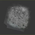 Grayish White Ground Surface With Green Spots Small Stones And Uneven Texture