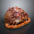 Conch Spiral Shell With Colorful Brown And Orange Patterns Marine Aquatic Animal
