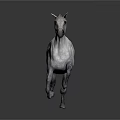 White Horse Running on Dark Background with Dynamic Posture and Detailed Fur