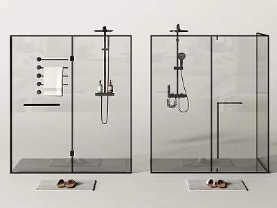 Modern Shower Head with Handheld Overhead Sprayers and Towel in Black Frame Glass Shower Enclosure 3d model