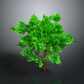 Lush Green Tree With Brown Trunk And Dense Foliage On Gray Background