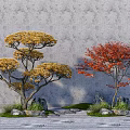Two Trees With Yellow And Red Leaves Surrounded By Stones Green Grass Against Gray Wall