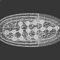 Green Microorganism Cell Internal Structure with Spiral Components and Small Dots