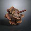 Natural Pine Cone Decorative Accessory For Daily Life Supplies And Home Use