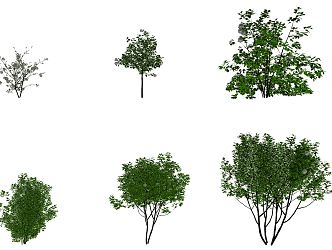 modern shrub viburnum shrub 3d model