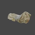 Weathered Animal Bone With Greenish Patina And Natural Surface Texture