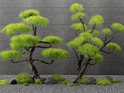 Arbor Trees With Curved Branches Green Foliage Against Gray Wall With Stones Moss And Gravel 3d model
