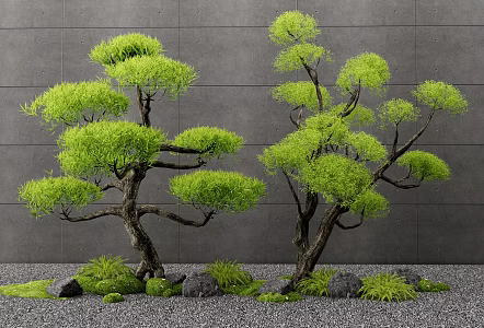 New Chinese Style Pine Tree Lohan Pine Old Pile Landscape Tree Arbor Moss Stone Landscape Tree 3d model