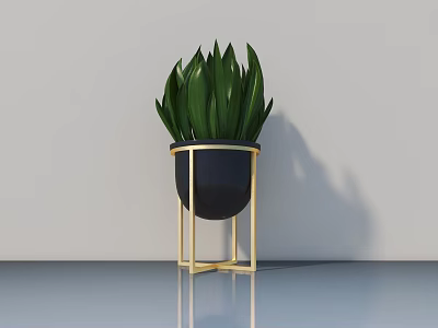 Potted Plant with Green Leaves in Black Pot Gold Stand and Light Wall Smooth Floor 3d model