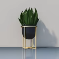 Potted Plant with Green Leaves in Black Pot Gold Stand and Light Wall Smooth Floor