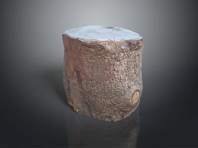 Natural Rustic Wooden Stone Tree Stump Stool With Bark Texture And Rough Solid Surface 3d model