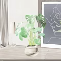 Decorative Monstera Potted Plant in Interior with Curtain Floor Lamp Line Art and Wooden Floor