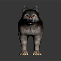 Realistic 3D Wolf Standing With Black And Gray Fur Sharp Teeth And Claws 3d model