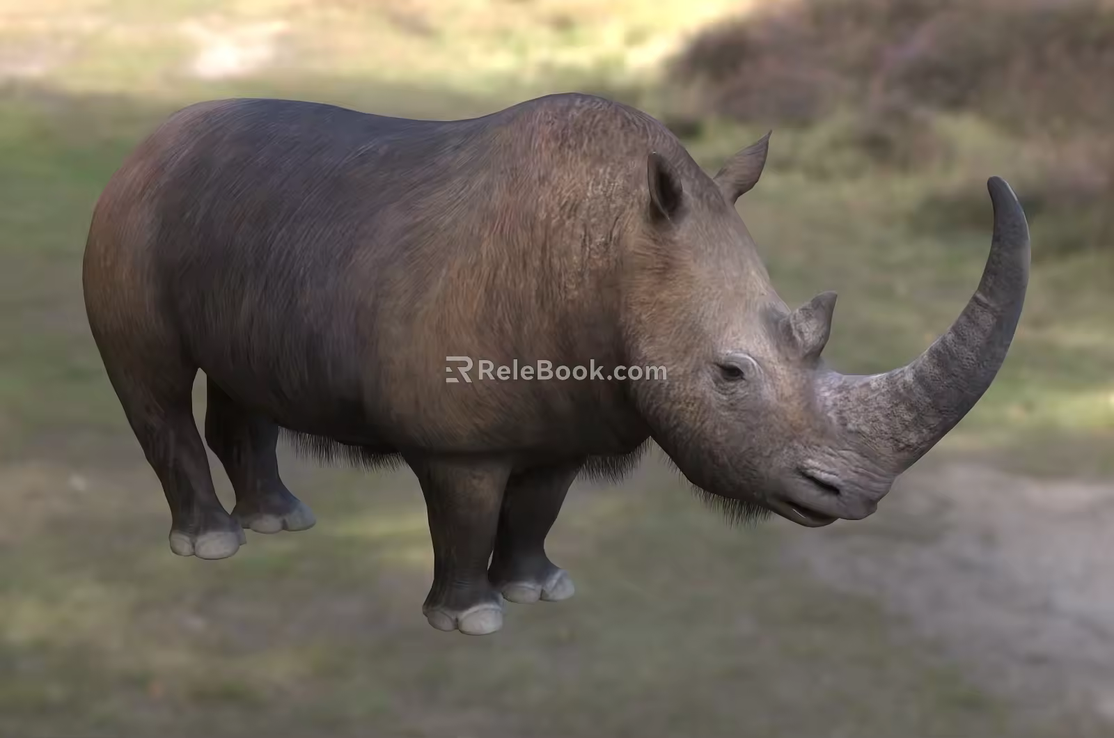 Woolly rhinoceros creature 3d model