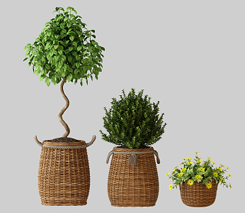 Nordic potted plant cultivation 3d model